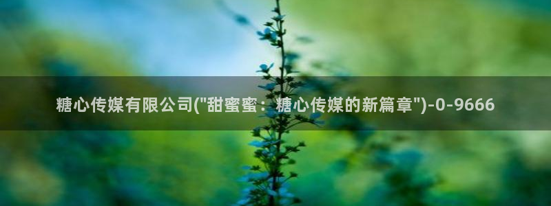 糖心少女vlog孤独的生日