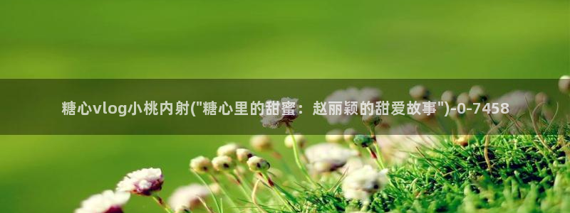 糖心vlog视频破解版