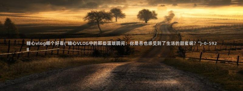 糖心vlog网页