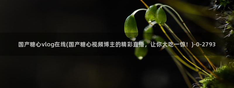 该看糖心vlog了