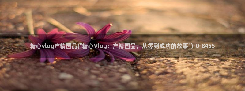 糖心vlog什么意思