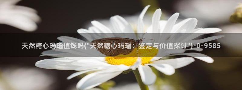 黑椒盖饭糖心vlog