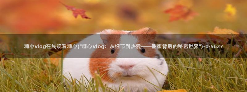 糖心vlog: