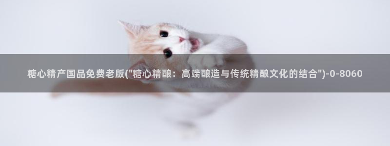 糖心vlog精品