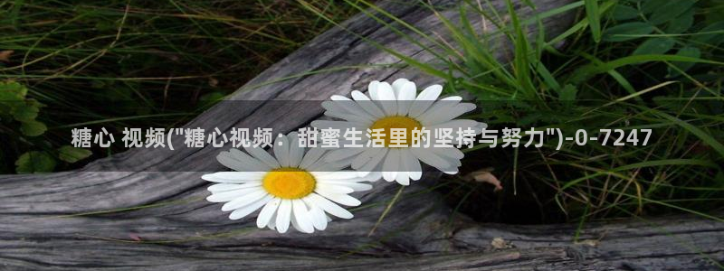 糖心vlog.